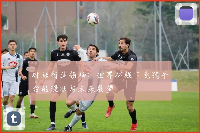 对话行业领袖：世界杯线下竞猜平台的现状与未来展望