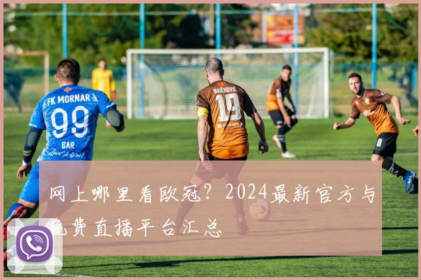 网上哪里看欧冠？2024最新官方与免费直播平台汇总