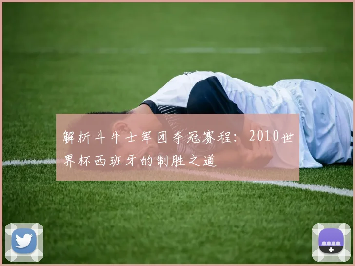 解析斗牛士军团夺冠赛程：2010世界杯西班牙的制胜之道