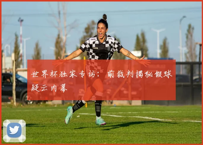 世界杯独家专访:前裁判揭秘假球疑云内幕
