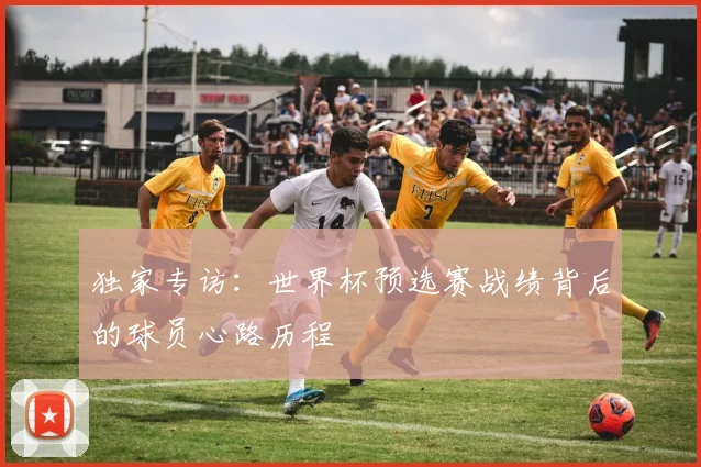独家专访:世界杯预选赛战绩背后的球员心路历程