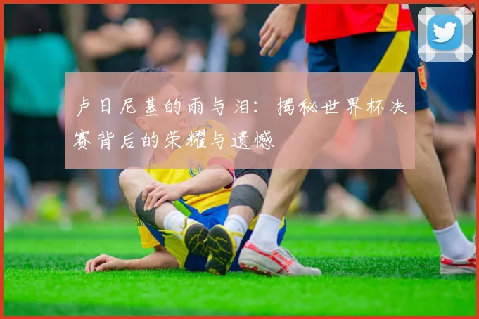 卢日尼基的雨与泪：揭秘世界杯决赛背后的荣耀与遗憾